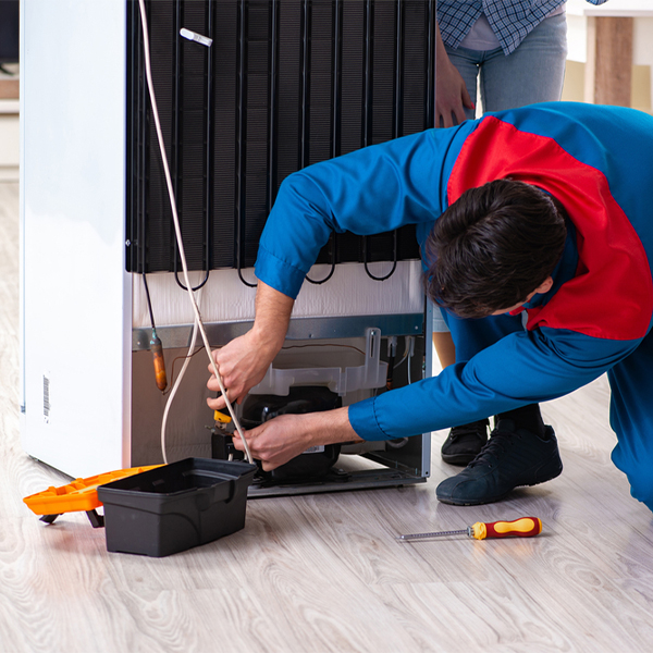 what are the common refrigerator repair services in Bronwood